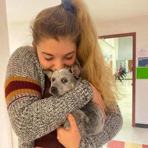 Meet your Posher, Hannah